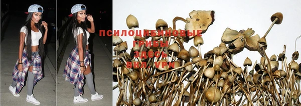 стафф Абинск
