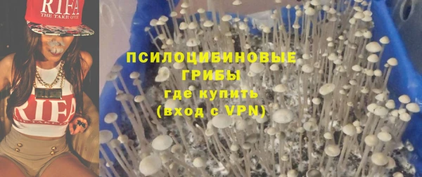 стафф Абинск