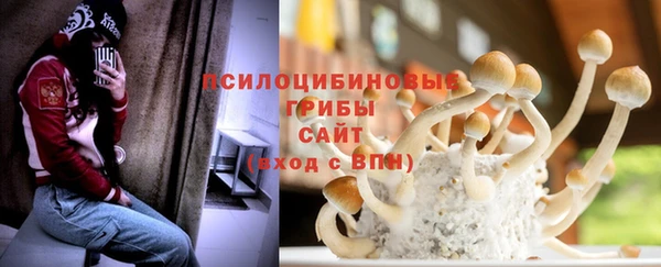 стаф Алексин
