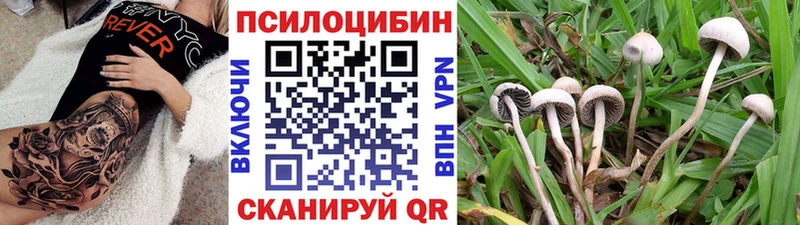 Галлюциногенные грибы мицелий дарнет шоп hydra Кашира