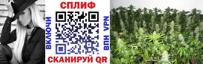 Шишки марихуана Bruce Banner  как найти наркотики  Кашира 